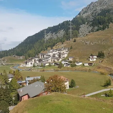 Curtinfess Franklin * 比维奥