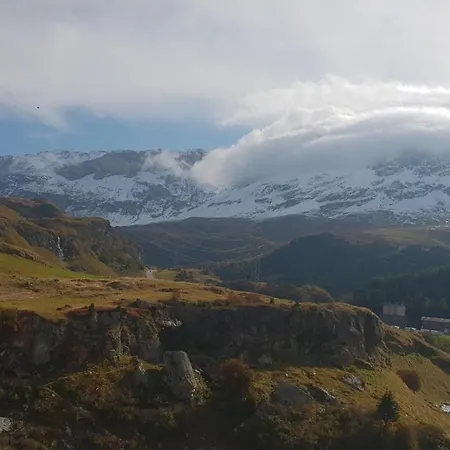 Curtinfess Franklin * ביביו