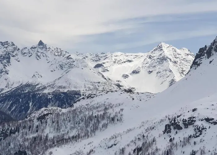 Daire Curtinfess Franklin