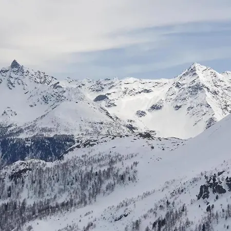 Apartmán Curtinfess Franklin